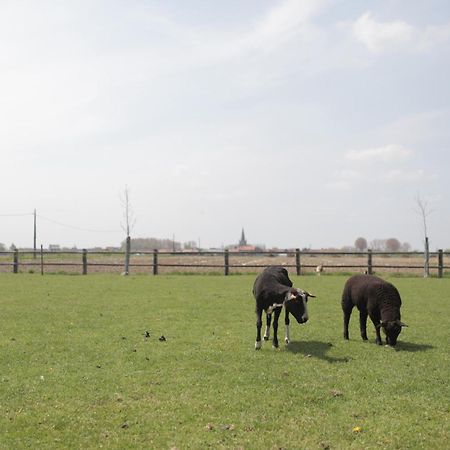 Gasthof Schraevenacker Vleteren Zewnętrze zdjęcie